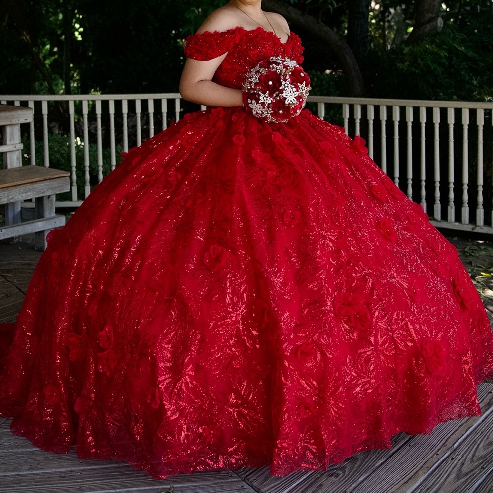 Ballgown Quinceañera dress, only worn once & in excellent condition.